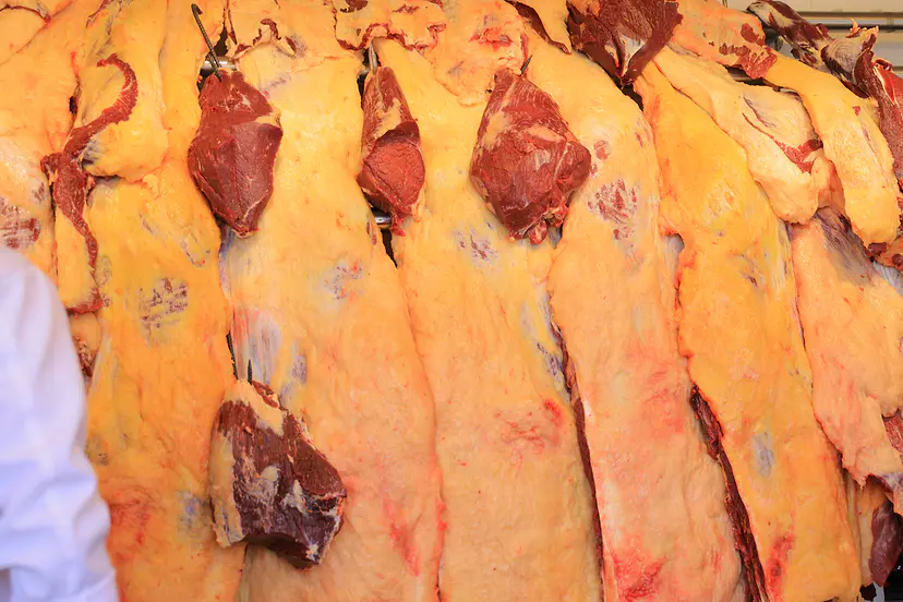 ወፍራም ወርቃማ ስብ ያላቸው የበሬ ጎኖች ተሰቅለው